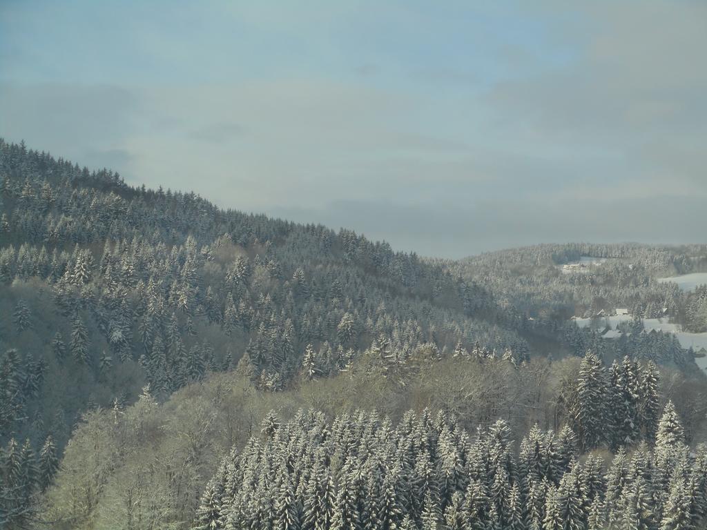 Vakantiehuis Vecernik *