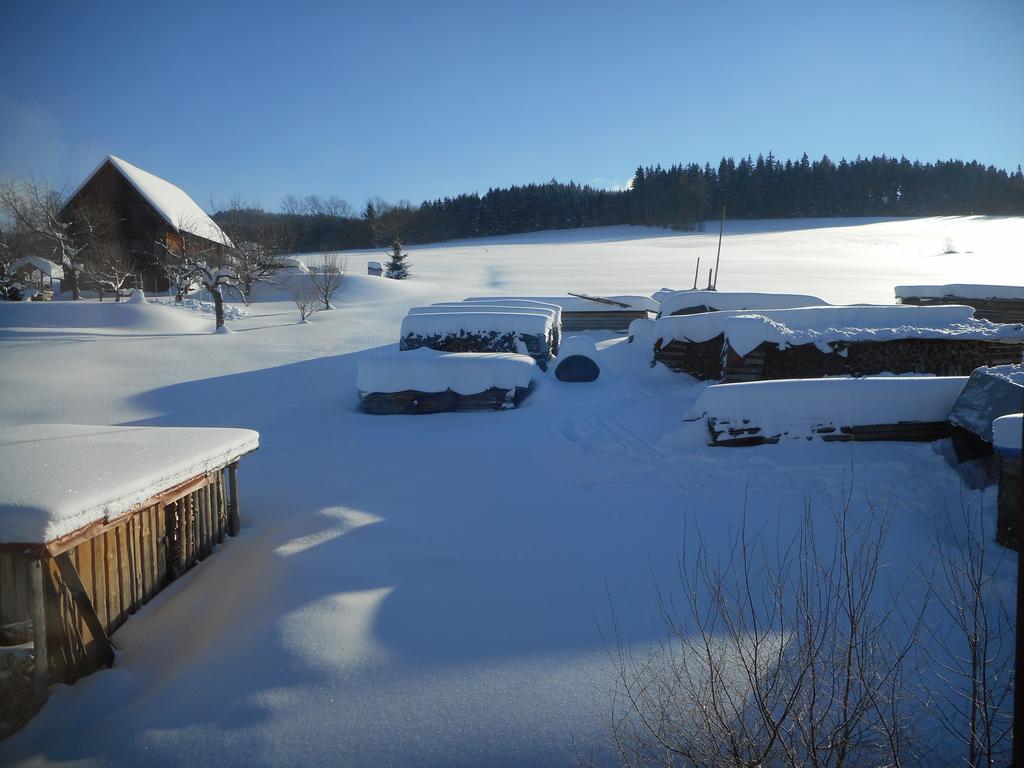 Vakantiehuis Vecernik Rokytnice nad Jizerou